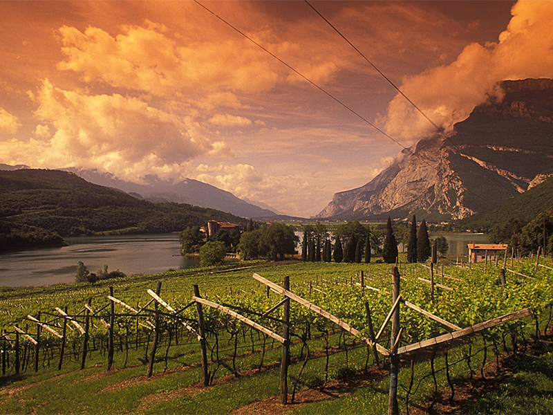 ABAN_tenuta1 ABAN_tenuta1