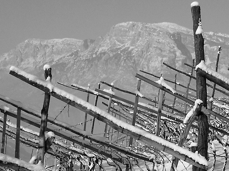 ABAN_tenuta2 ABAN_tenuta2