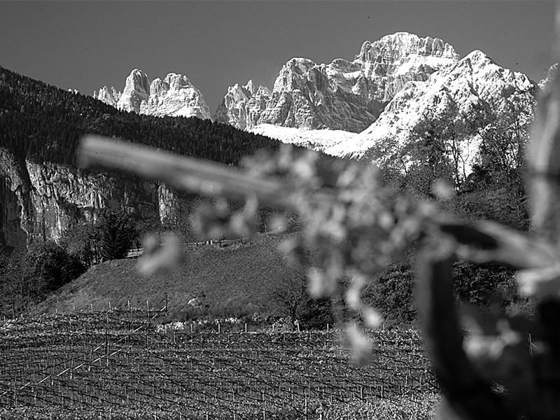 ABAN_tenuta3 ABAN_tenuta3