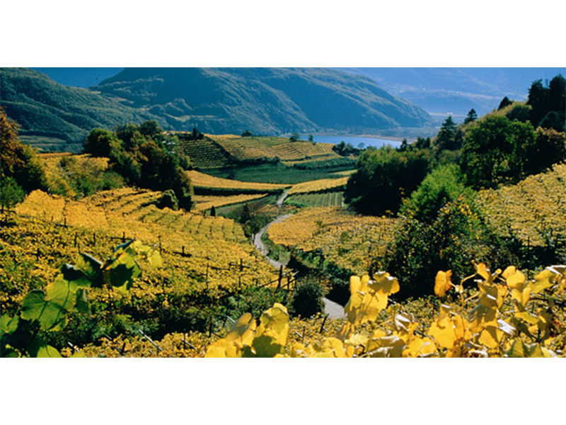 BDPA_tenuta3 BDPA_tenuta3