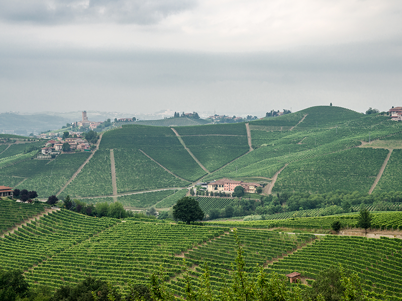 BERA_tenuta1 BERA_tenuta1