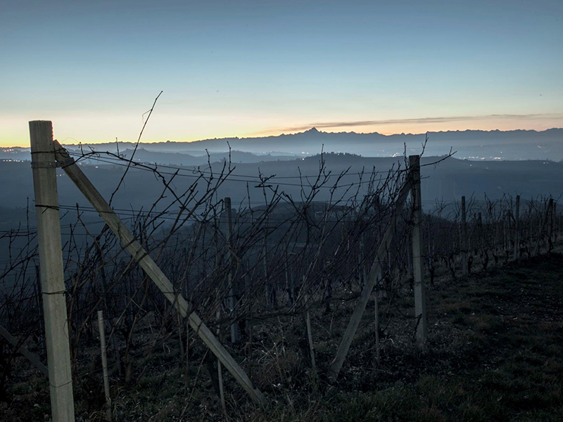 BERA_tenuta4 BERA_tenuta4