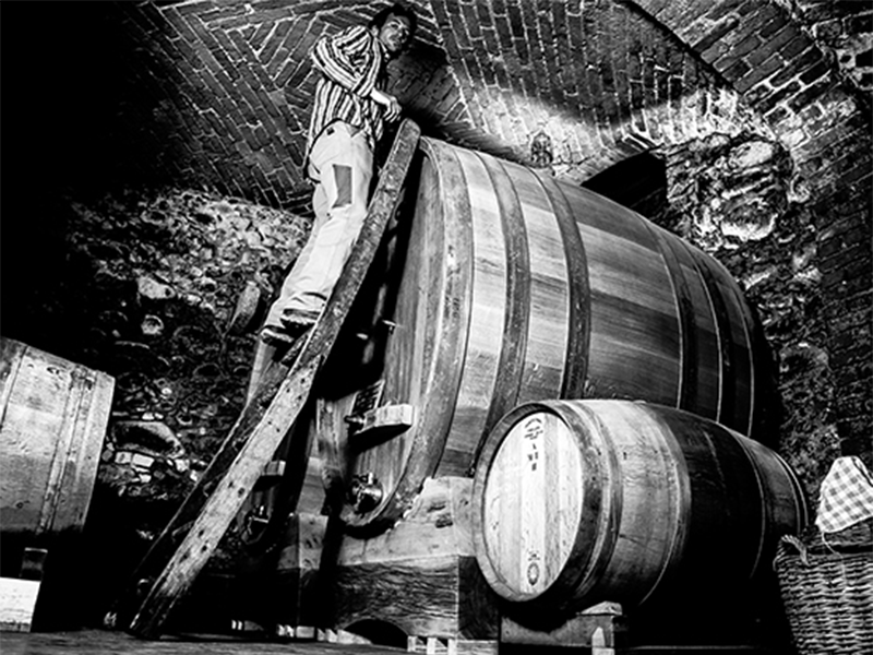 CDSI_cantina1 CDSI_cantina1