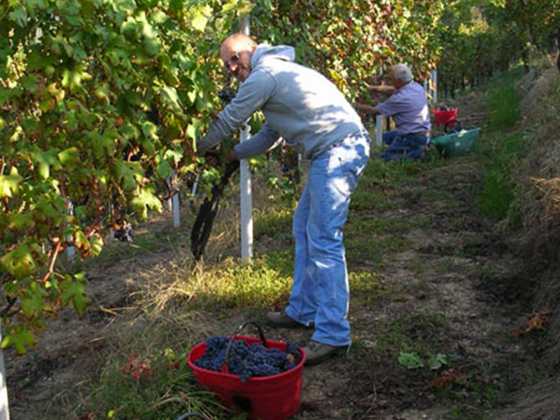 CDSI_foto6 CDSI_foto6