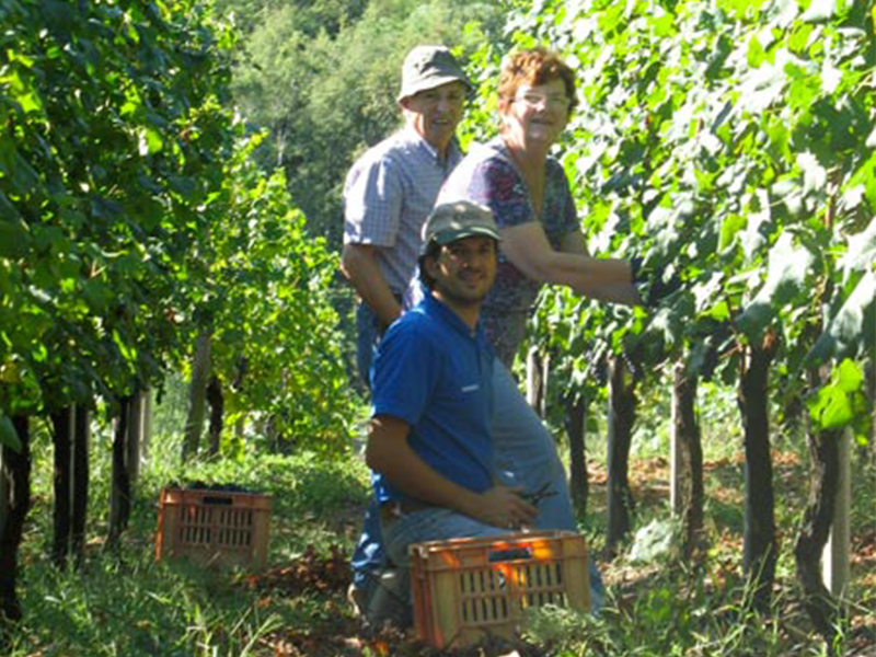 CDSI_foto7 CDSI_foto7