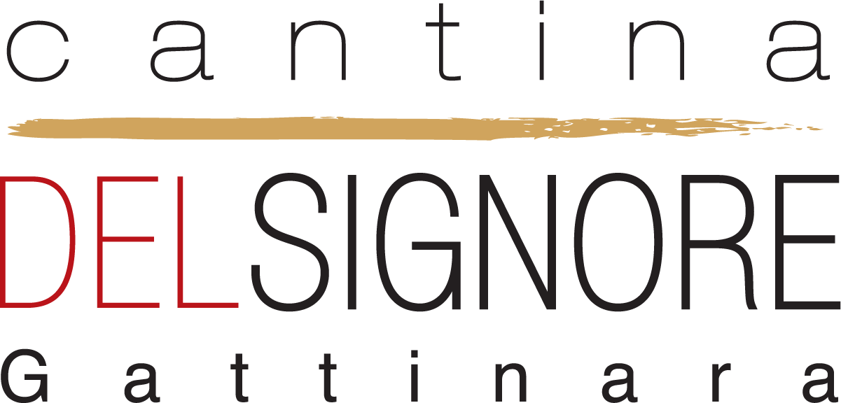 CDSI_logo-negativo