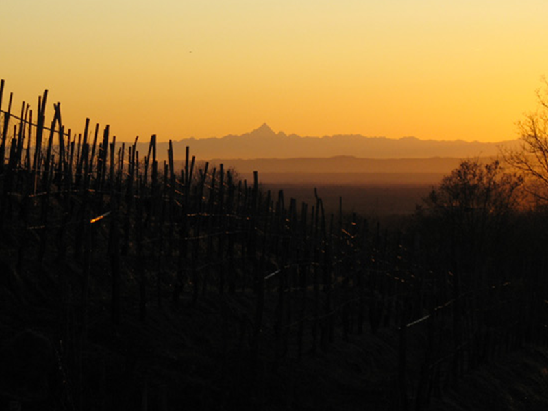 CDSI_panorama CDSI_panorama