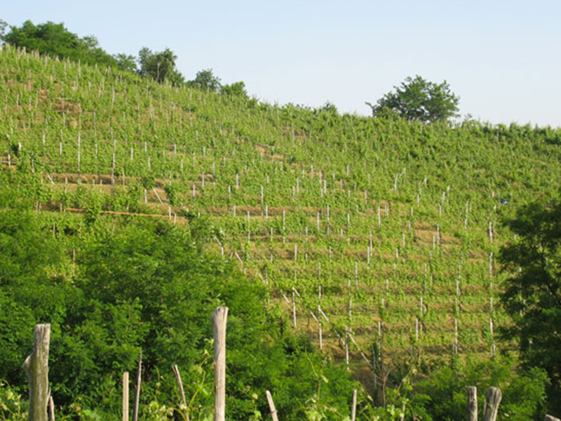 CDSI_tenuta1 CDSI_tenuta1