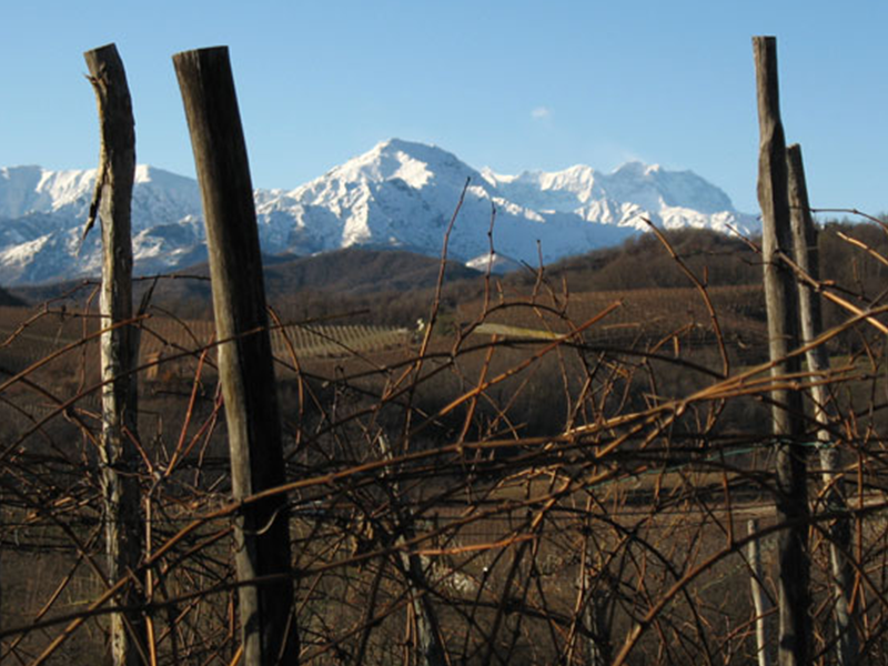 CDSI_tenuta2 CDSI_tenuta2