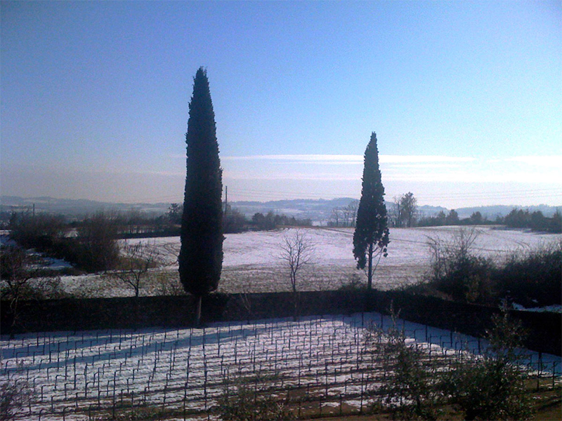 LAFI_tenuta10 LAFI_tenuta10