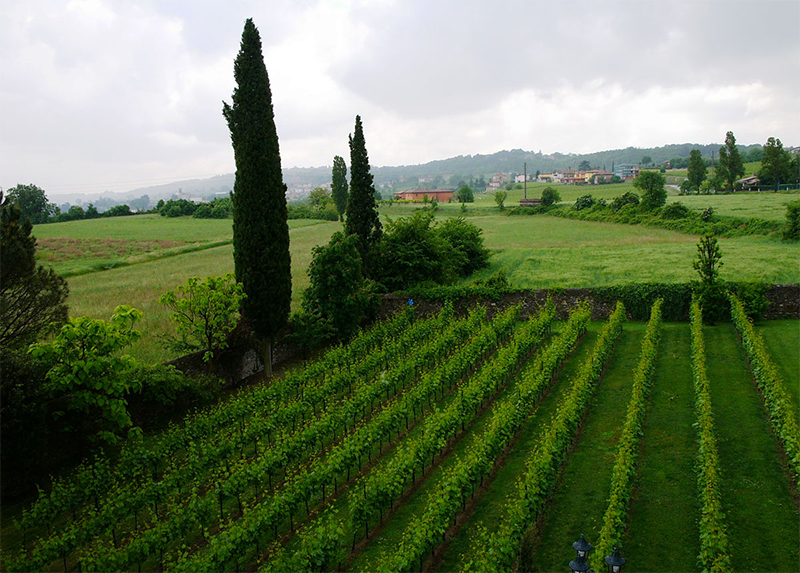 LAFI_tenuta2 LAFI_tenuta2