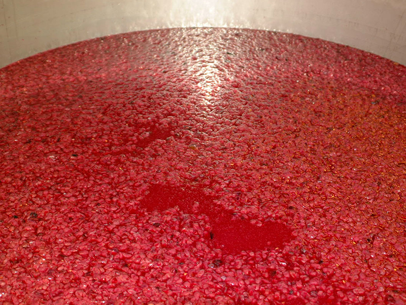 LAFI_tenuta9 LAFI_tenuta9