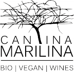 MARI_logo