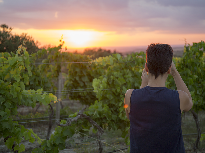 MARI_tenuta1 MARI_tenuta1