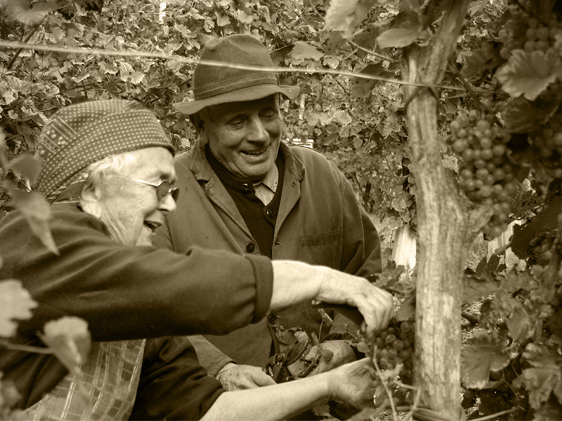 PLAG_foto2 PLAG_foto2