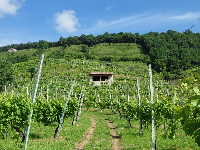 PLAG_tenuta1 PLAG_tenuta1