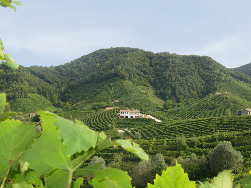 PLAG_tenuta3 PLAG_tenuta3