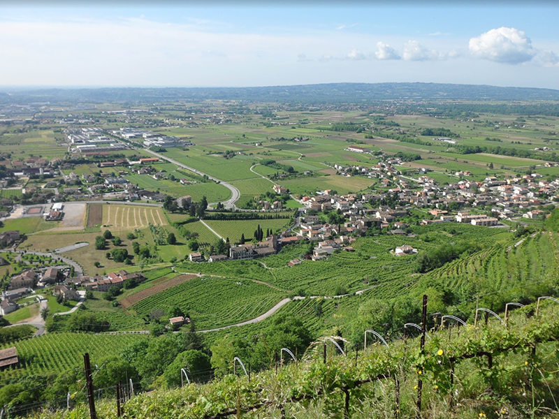 PLAG_tenuta4 PLAG_tenuta4