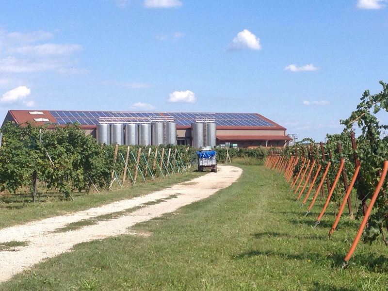 PLAG_tenuta5 PLAG_tenuta5