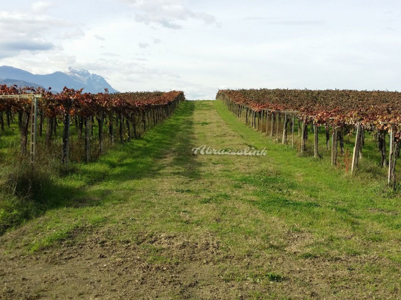 VALE_tenuta3 VALE_tenuta3