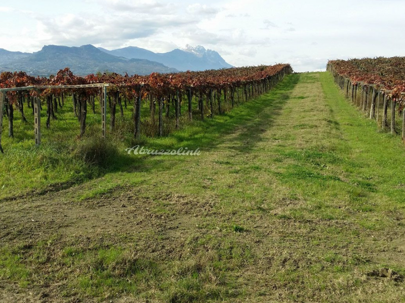 VALE_tenuta6 VALE_tenuta6