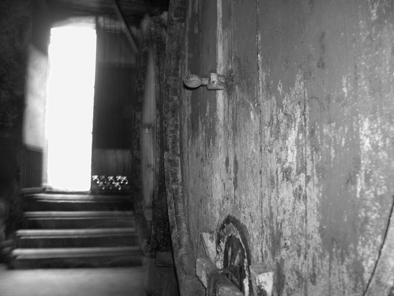 Digital StillCamera Digital StillCamera