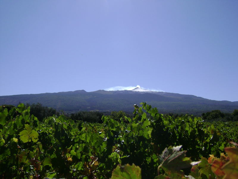 Filippo-Grasso3 Filippo-Grasso3