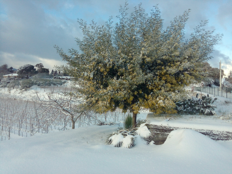 Filippograsso6 Filippograsso6