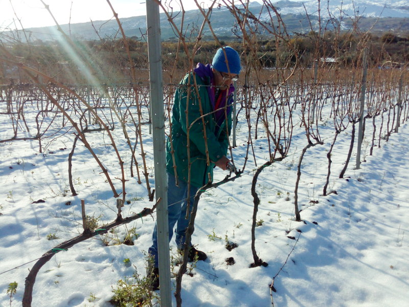 Filippograsso8 Filippograsso8