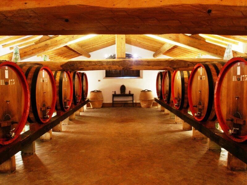 Azienda  Biondi SantiMontalcino
Photo Sandro Michahelles
Degustrazione Gambero Rosso Brunello di Montalcino Azienda Biondi Santi 
Particolare della cantina