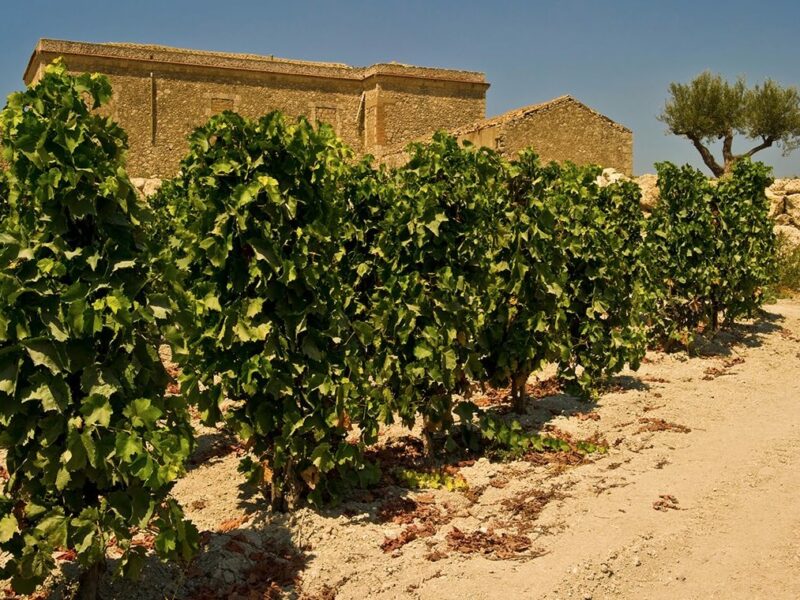 salaparuta2 salaparuta2