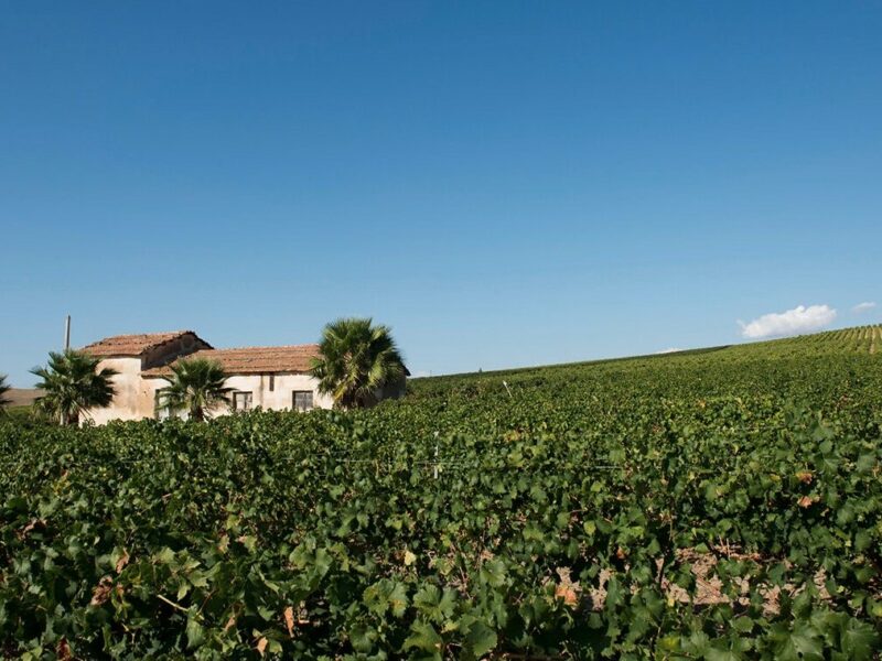 salaparuta3 salaparuta3