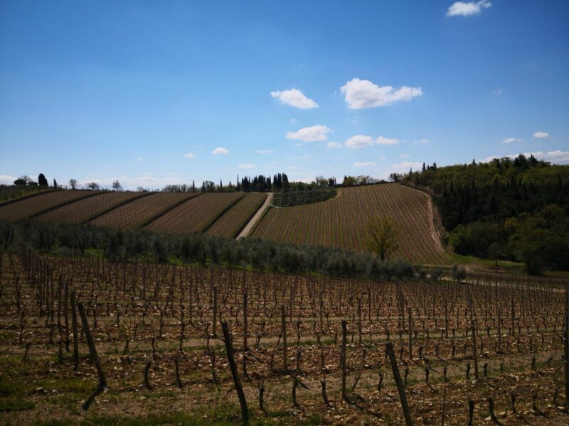 castdiama2 castdiama2