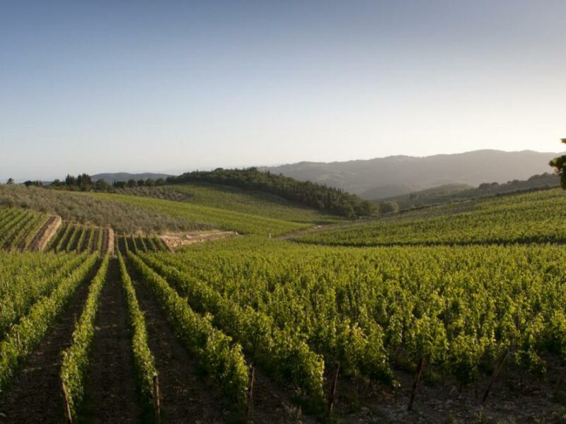 castdiama5 castdiama5