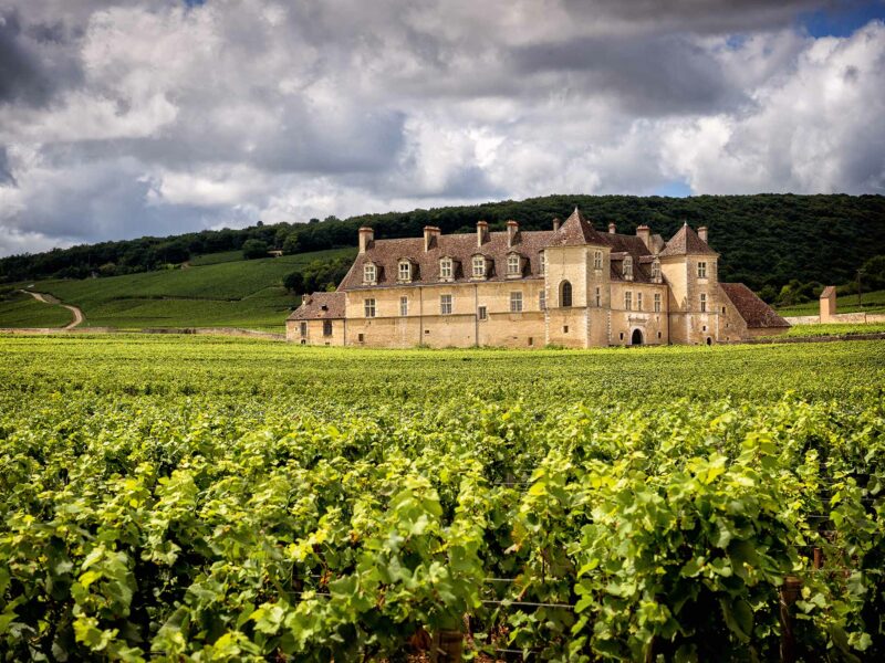 Camuzet-c-Shutterstock-2048