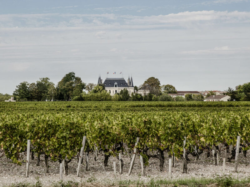 Chateau Palmer Chateau Palmer vineyard during harvest, in Margaux, France, on october 4, 2016.
The Palmer vineyards cover 66 hectares in the commune of Cantenac. Most of the plots are concentrated on a plateau of thin gravel from the Güntz period on the top of the rises of the Margaux appellation.
Photographer: Marlene Awaad / Bloomberg
