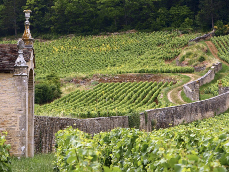 Domainearmandrousseau