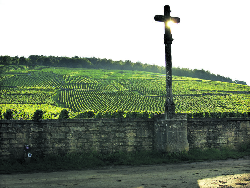 03 Aug 2011, France --- A cross by the Romaneé Conti vineyard, Bourgogne, France. Romaneé-Conti is an Appellation d'origine controlée (AOC) and Grand Cru vineyard for red wine in the Cote de Nuits subregion of Burgundy, with Pinot Noir as the sole grape variety. It is situated within the commune of Vosne-Romanée and is a monopole of the winery Société Civile du Domaine de la Romanée-Conti, which takes its name after this vineyard. Romanée-Conti borders on La Romanée in the west, Richebourg in the north, Romanée-Saint-V --- Image by © Guilhem Alandry/In Pictures/Corbis