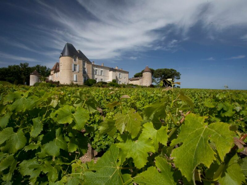 chateaudyquem2 chateaudyquem2