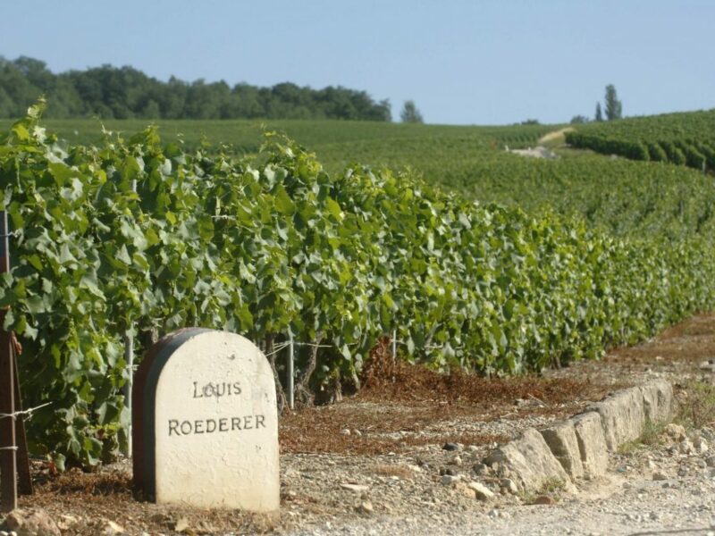 Roederer3 Roederer3