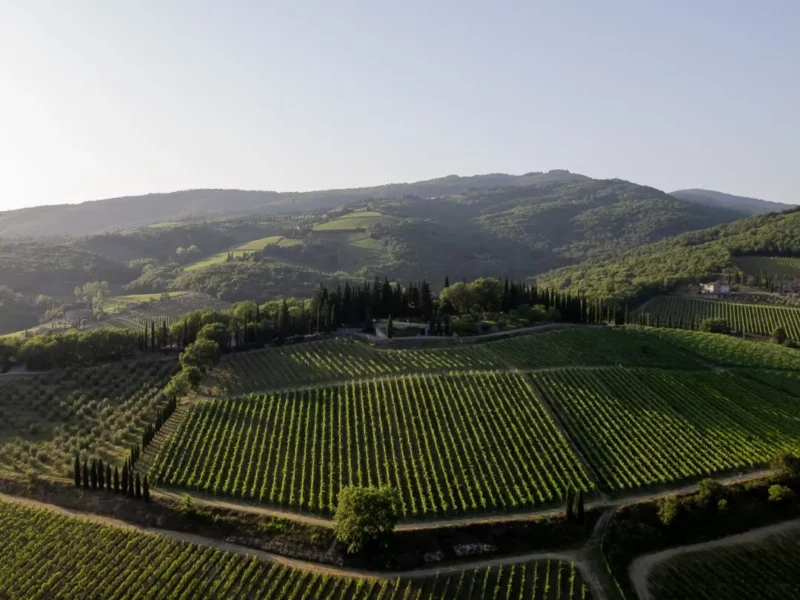 foto-per-intro-AZIENDA-1080x1080 foto-per-intro-AZIENDA-1080x1080