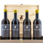 Polveri della Scarrupata 2015/16/17/18