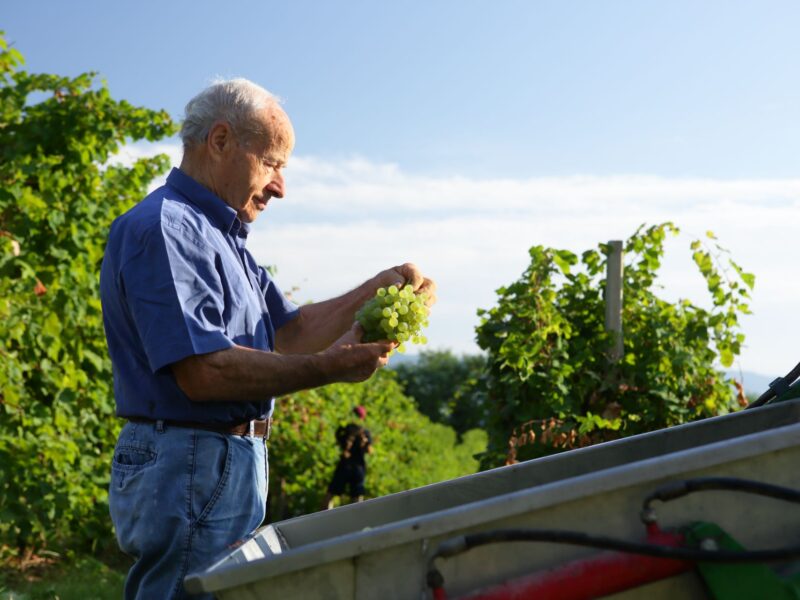 Sommariva Vini - Valori 04